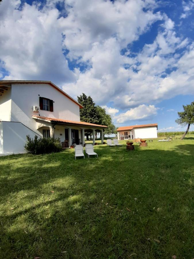 Uliveto Gretacci * Montemerano