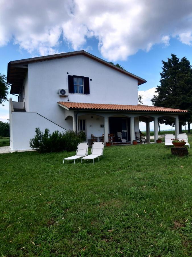 Uliveto Gretacci Montemerano