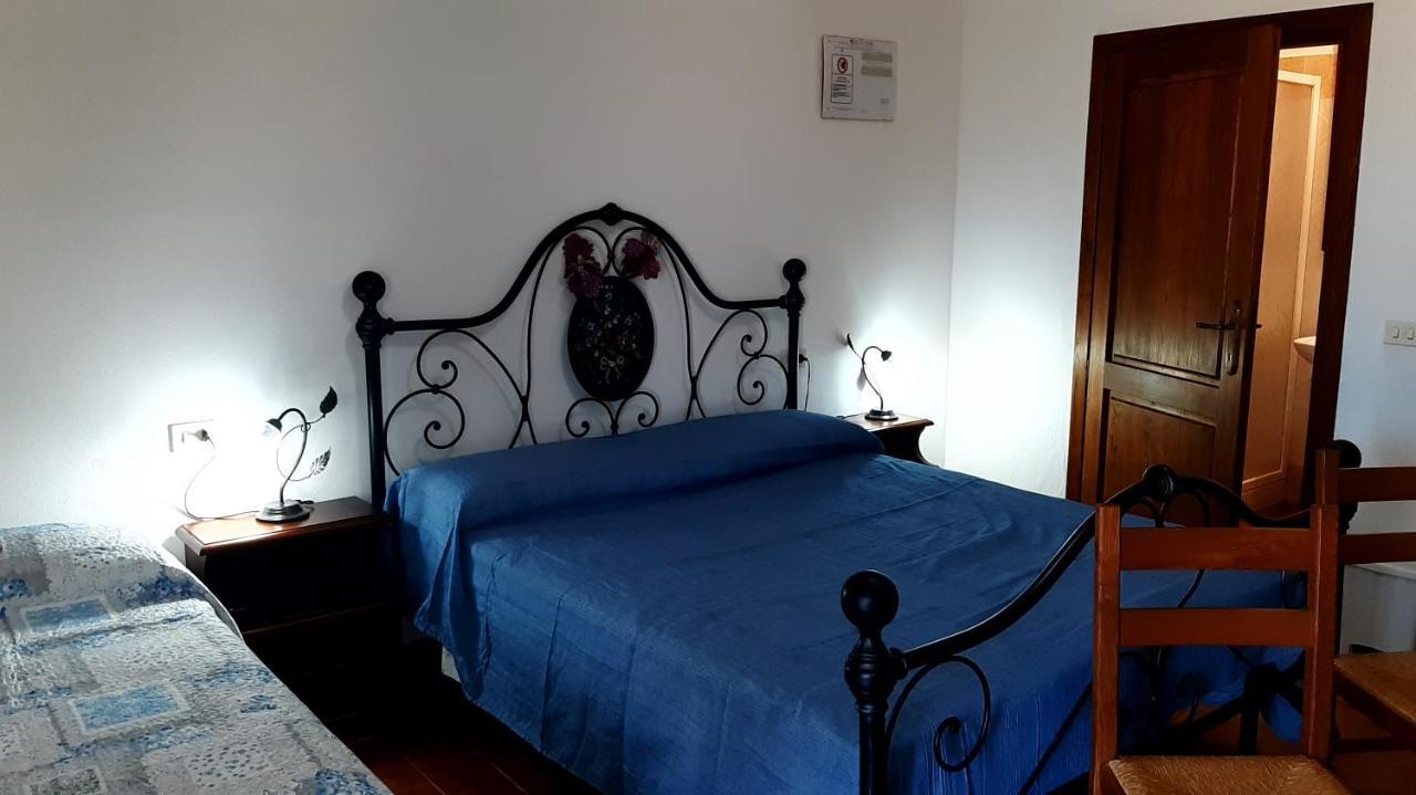 Séjour à la ferme Uliveto Gretacci Montemerano
