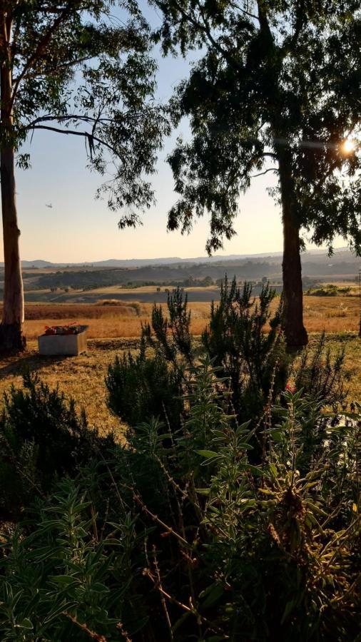 Uliveto Gretacci Séjour à la ferme