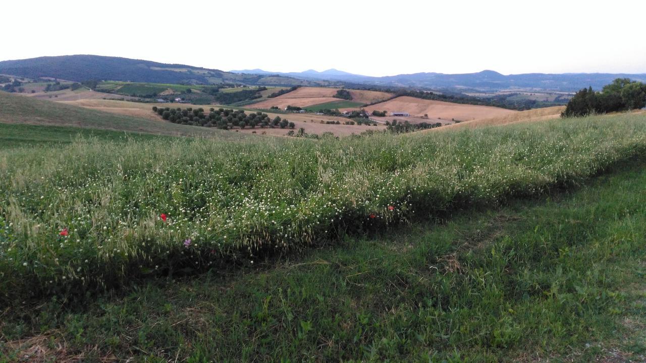 Uliveto Gretacci