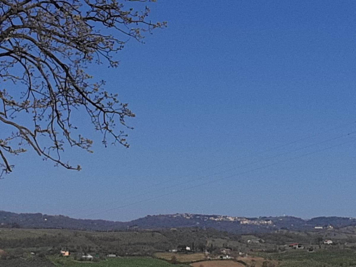 Uliveto Gretacci * Montemerano