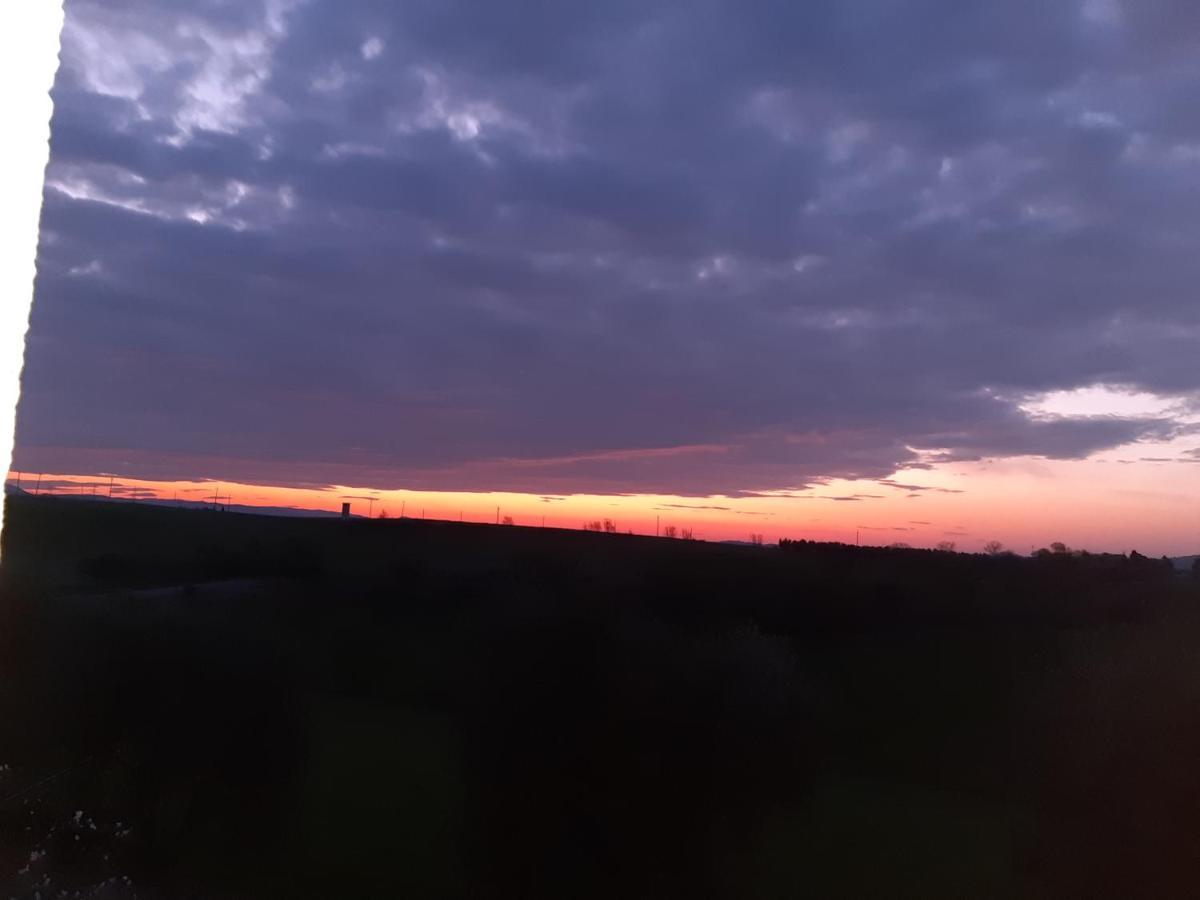 Séjour à la ferme Uliveto Gretacci